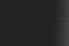 visitors-sofins-2025